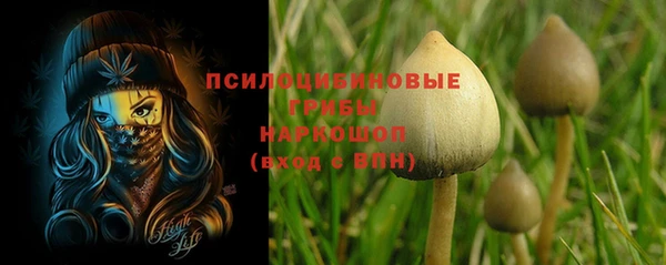шишки Алексеевка