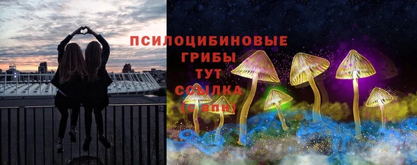 прущая мука Алзамай
