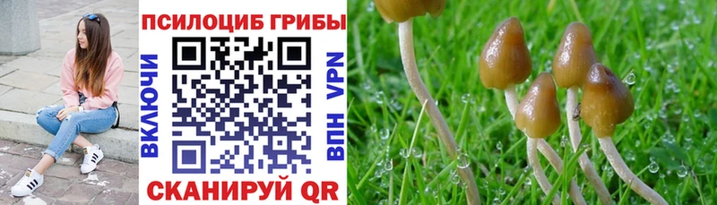 Галлюциногенные грибы мицелий  Аркадак 